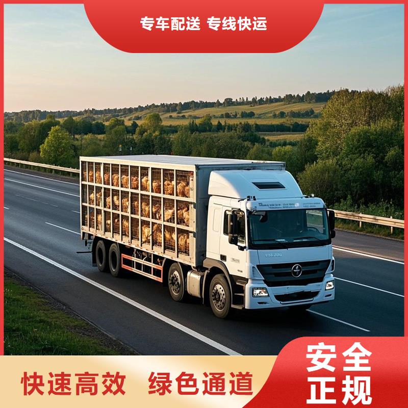 柳州到蒙山物流专线货运公司