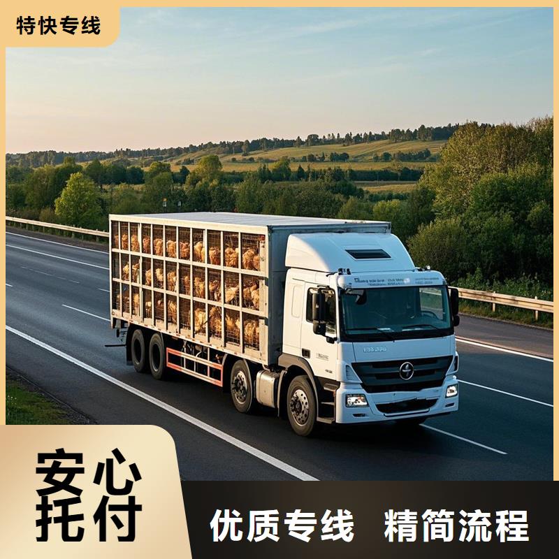 上饶到镇平物流专线货运公司