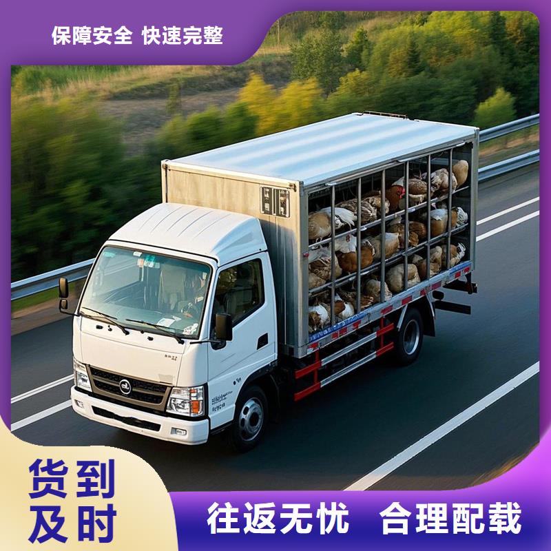 柳州到蒙山物流专线货运公司