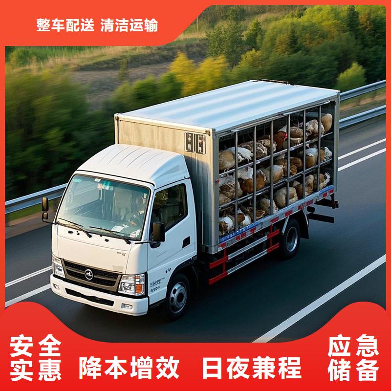 淮北到番禹物流专线货运公司