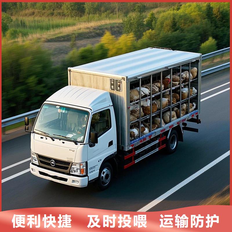 柳州到长顺物流专线货运公司