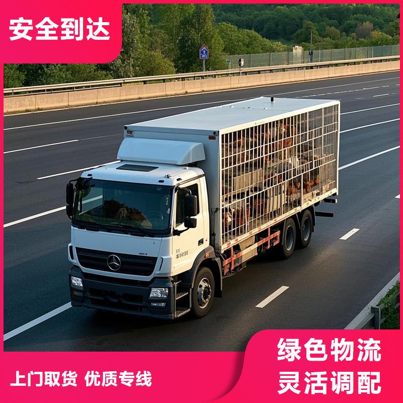 日照到曲周物流专线货运公司