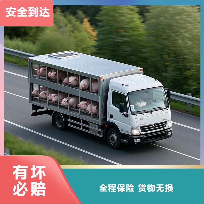 河源到麟游物流专线货运公司