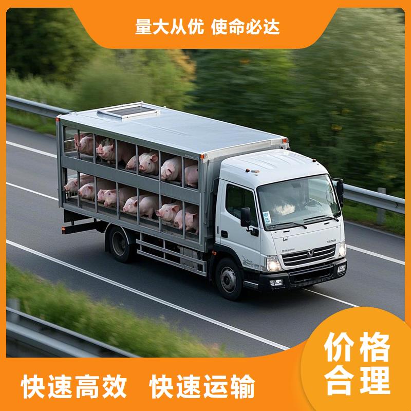 濮阳到咸宁物流专线货运公司