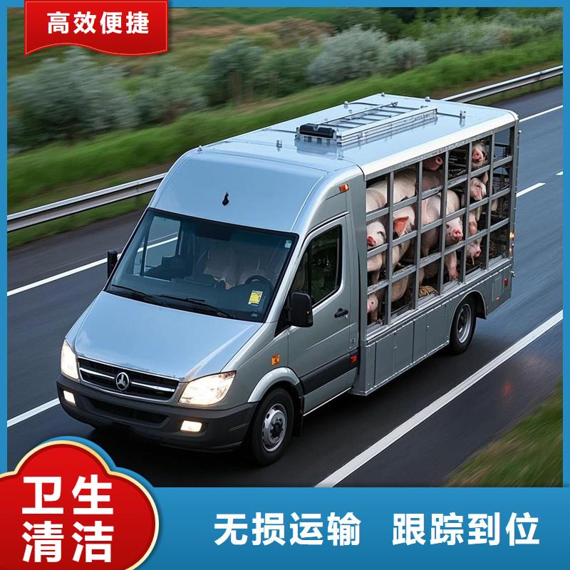 尉氏到顺平物流专线货运公司