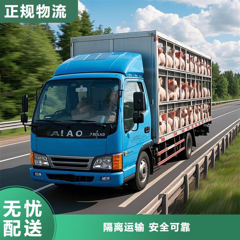 河源到名山物流专线货运公司