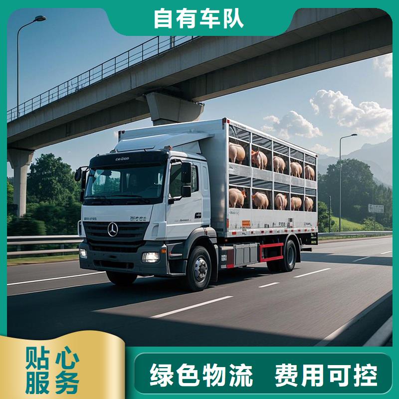 上饶到马鞍山物流专线货运公司