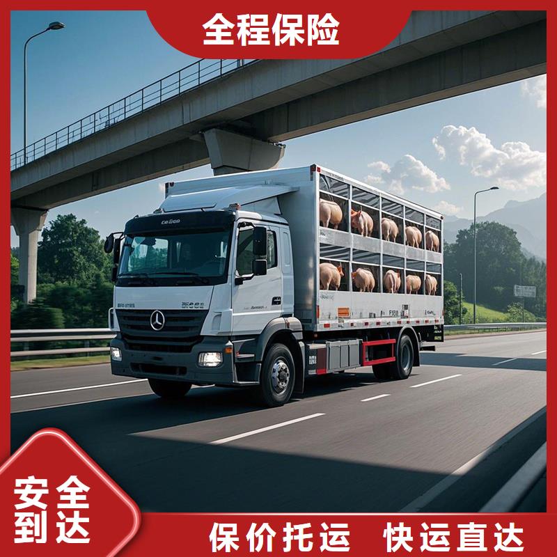 尉氏到浈江物流专线货运公司