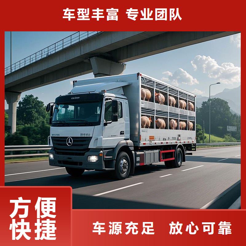 日照到广饶物流专线货运公司