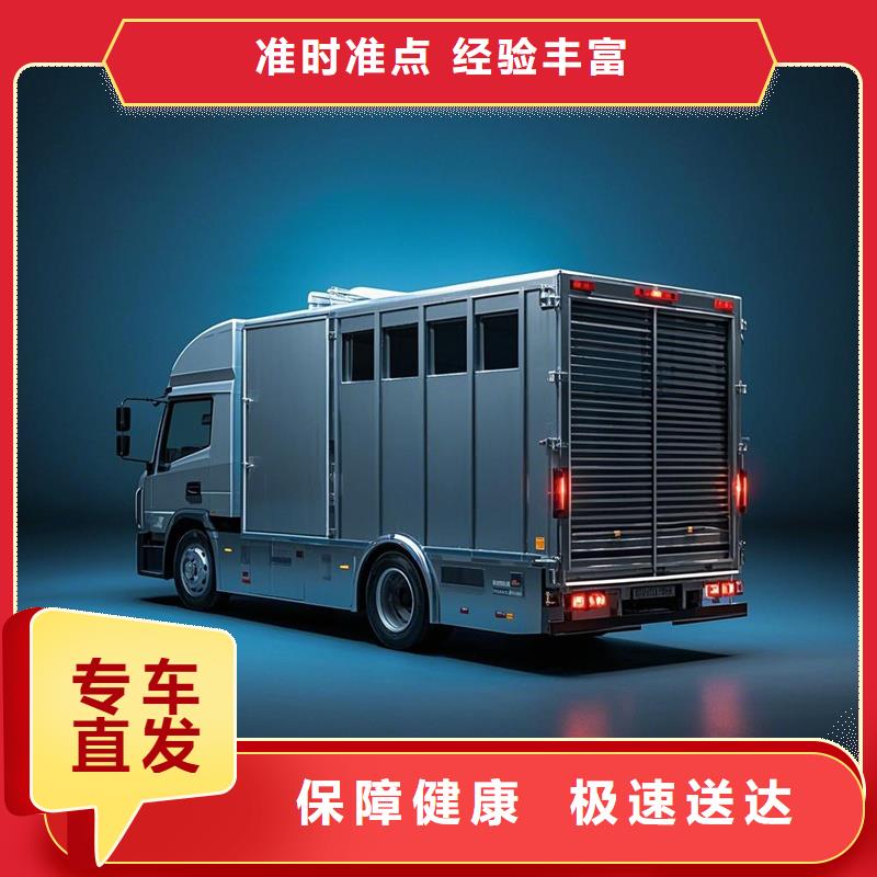 尉氏到夹江物流专线货运公司