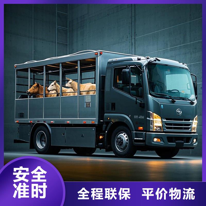 张家口到静宁物流专线货运公司