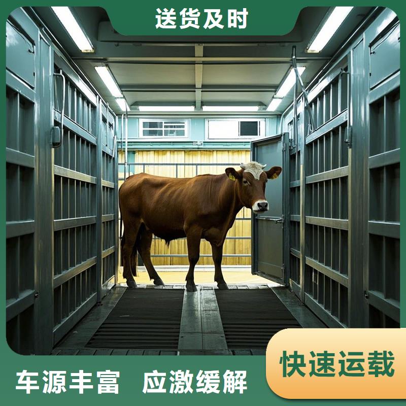 揭阳到岑巩物流专线货运公司