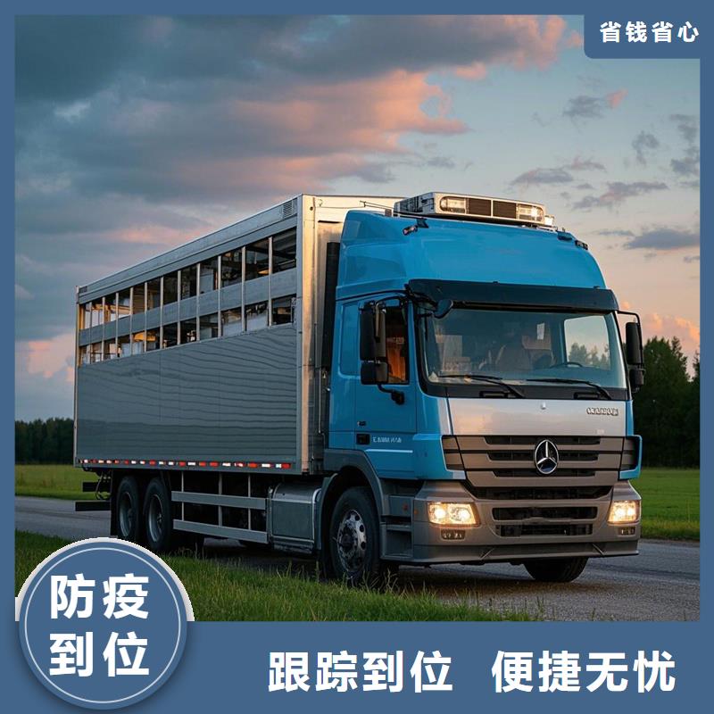 揭阳到龙凤物流专线货运公司