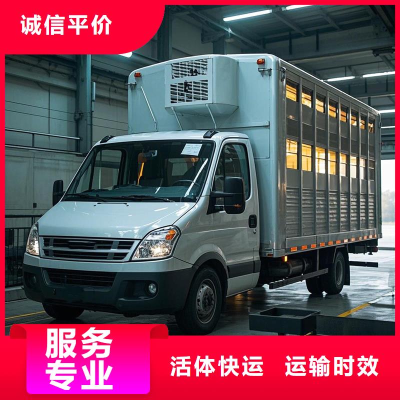 日照到姚安物流专线货运公司