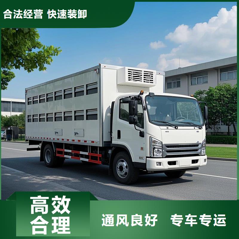 濮阳到贡嘎物流专线货运公司