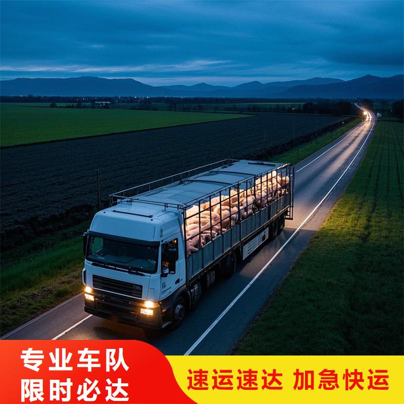 濮阳到望谟物流专线货运公司