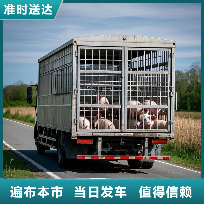 周口到路北物流专线货运公司