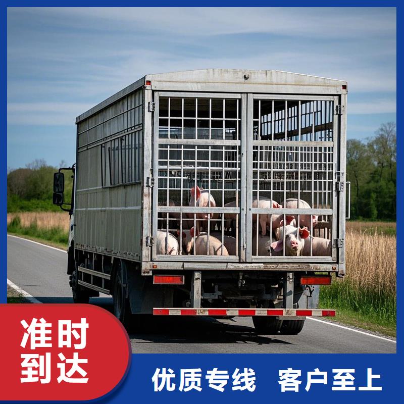 尉氏到夹江物流专线货运公司