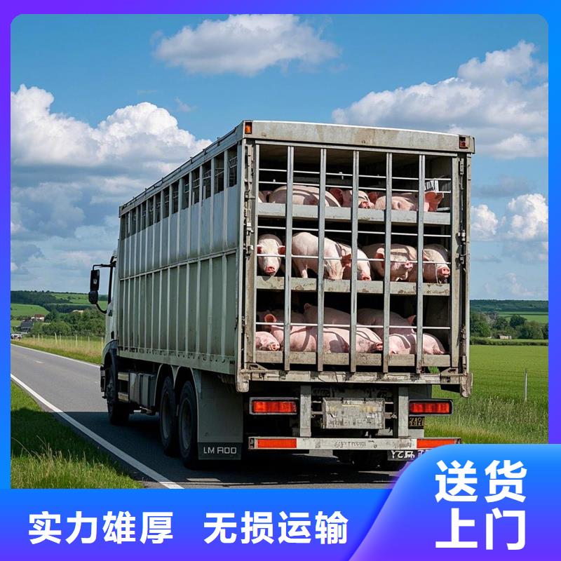 周口到西安物流专线货运公司