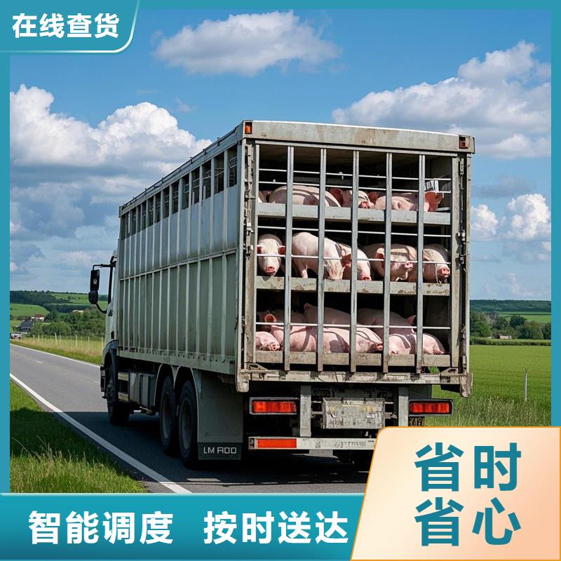 淮北到阜南物流专线货运公司