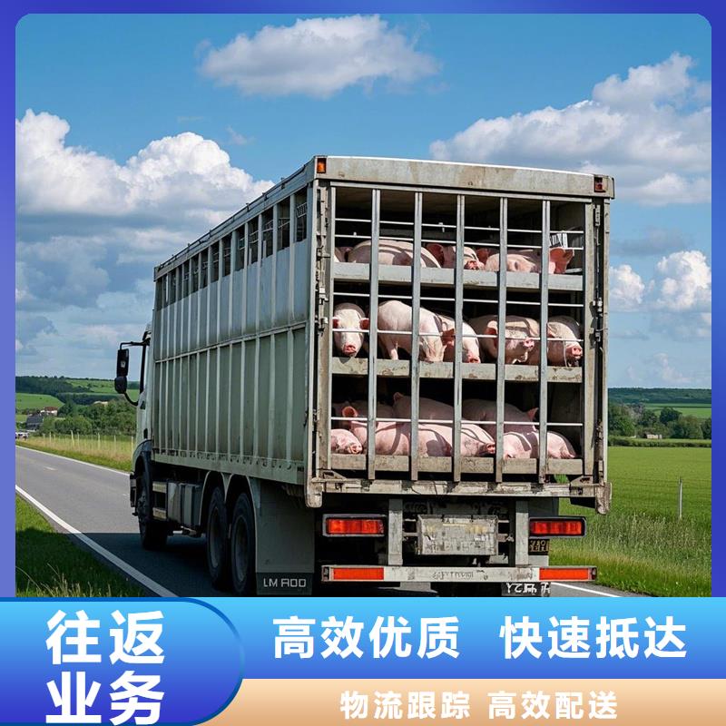 泽州到德清物流专线货运公司