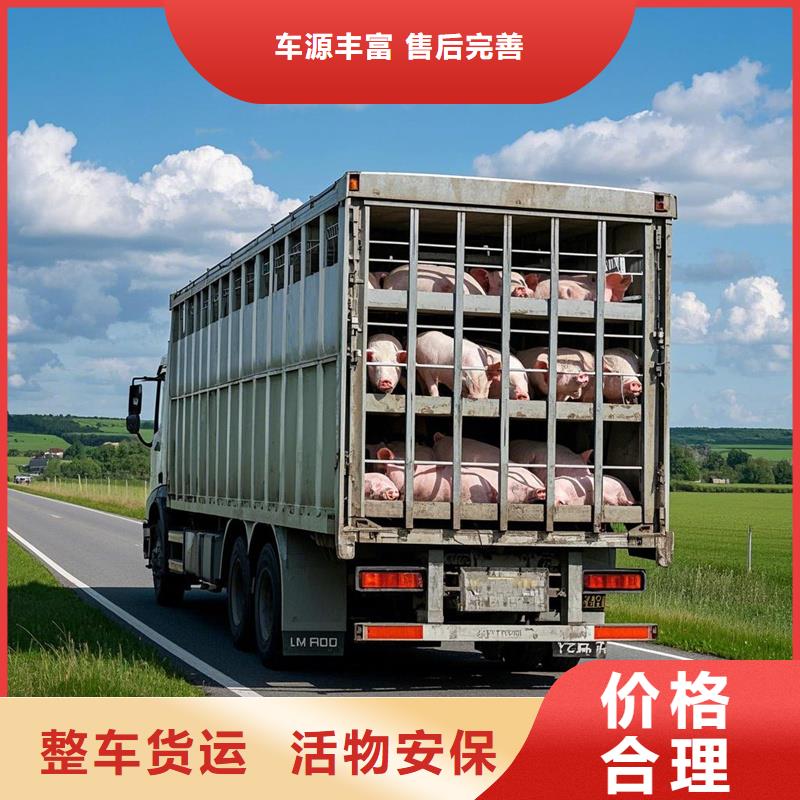 淮北到红塔物流专线货运公司