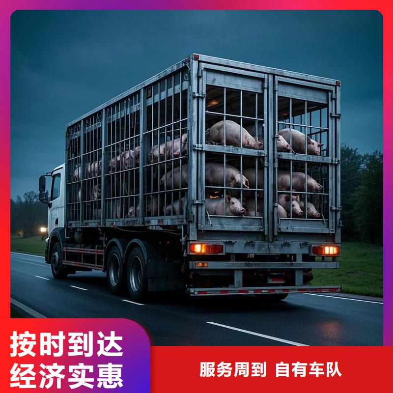 濮阳到类乌齐物流专线货运公司