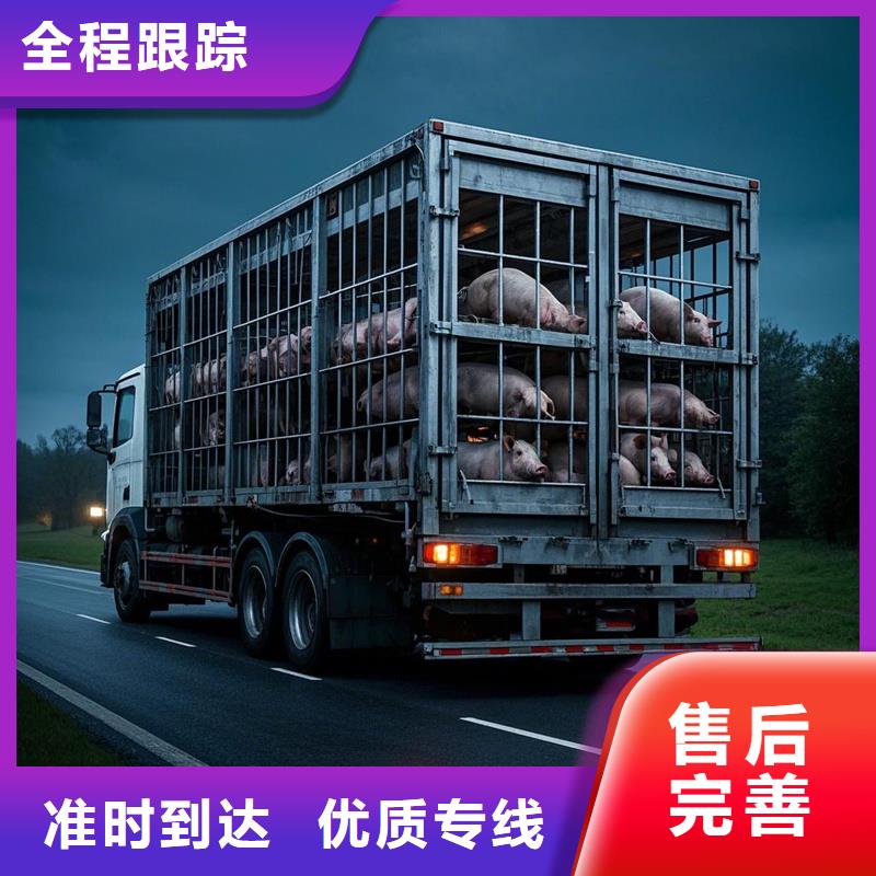 日照到曲周物流专线货运公司