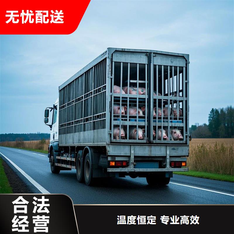 河源到灌阳物流专线货运公司