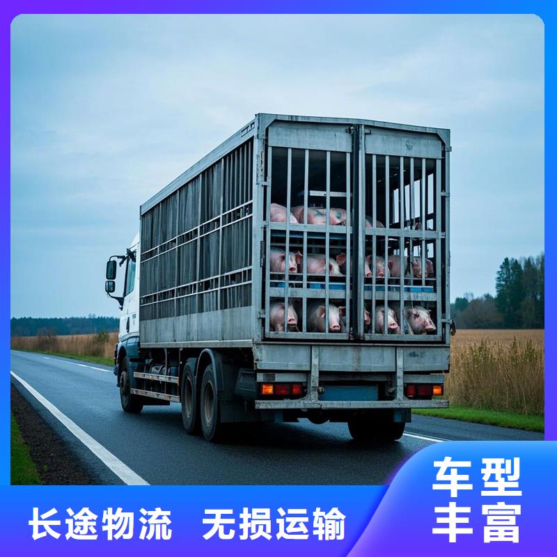 阜南到南江物流专线货运公司