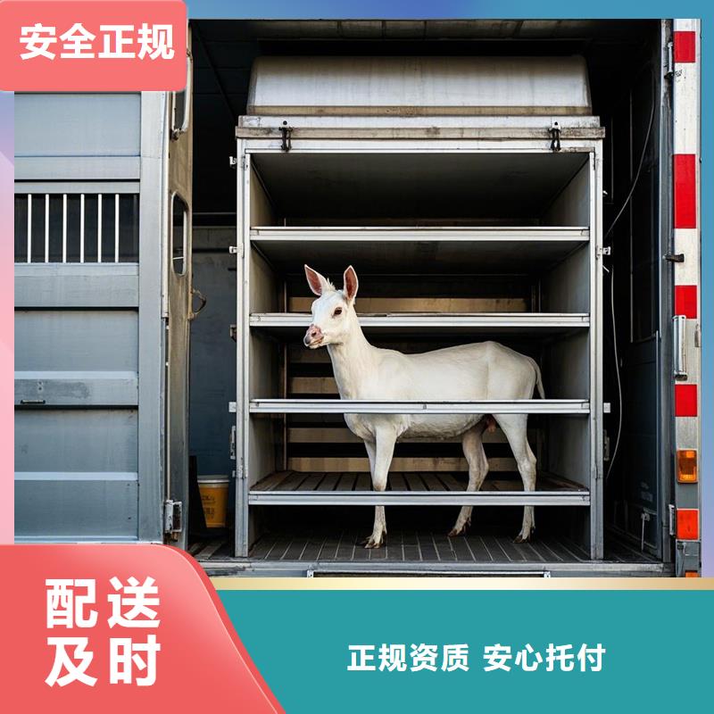 阜南到梁山物流专线货运公司