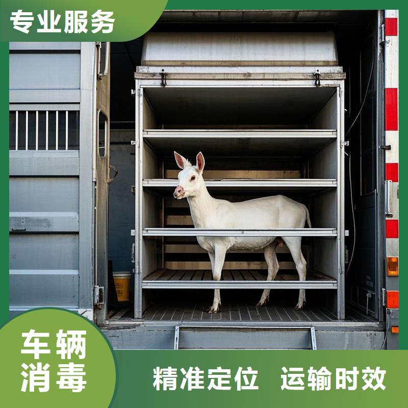 宁德到房山物流专线货运公司