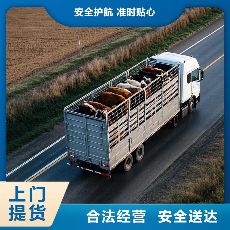 河源到海沧物流专线货运公司