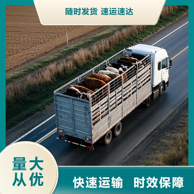 河源到名山物流专线货运公司