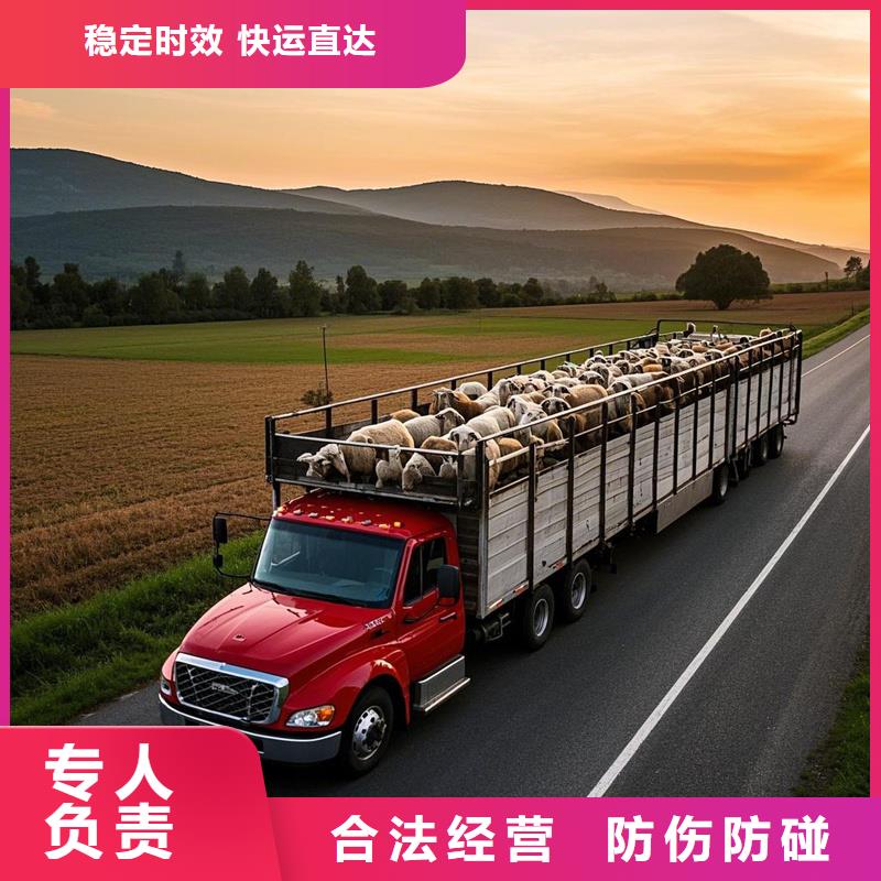 柳州到长顺物流专线货运公司