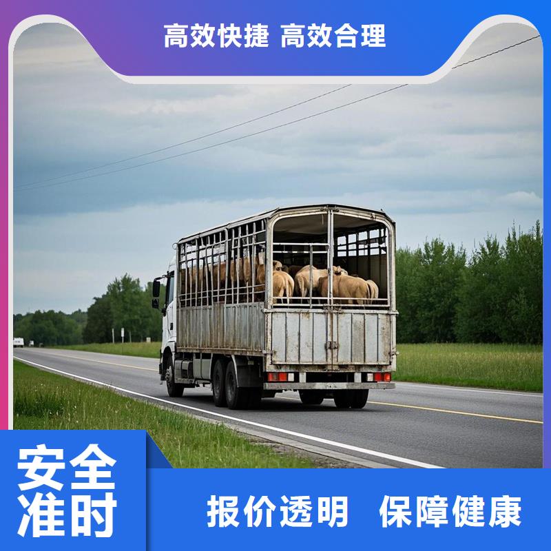 滁州到玉山物流专线货运公司