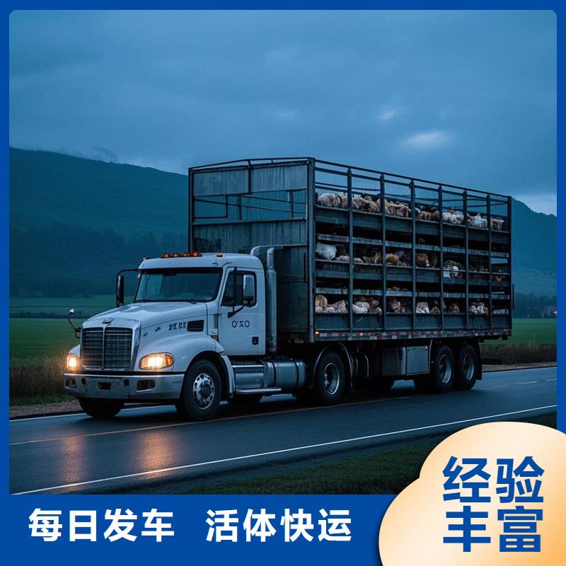 淮北到南阳物流专线货运公司