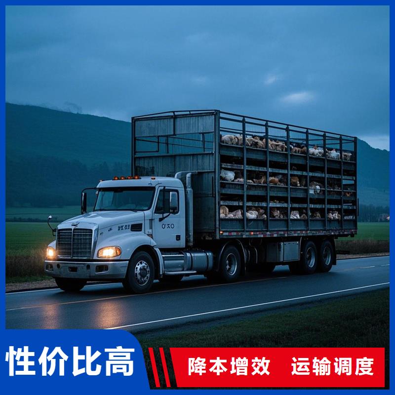 周口到喜德物流专线货运公司