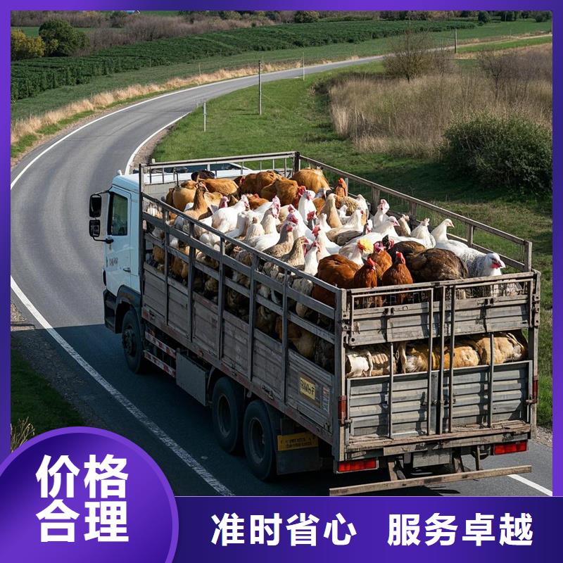 日照到广饶物流专线货运公司