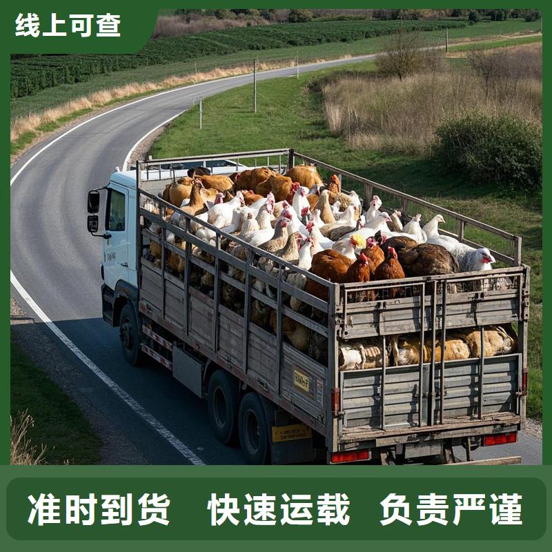 揭阳到鄂尔多斯物流专线货运公司