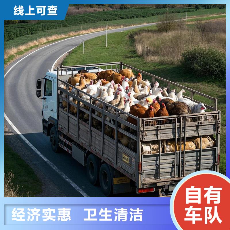 河源到海沧物流专线货运公司