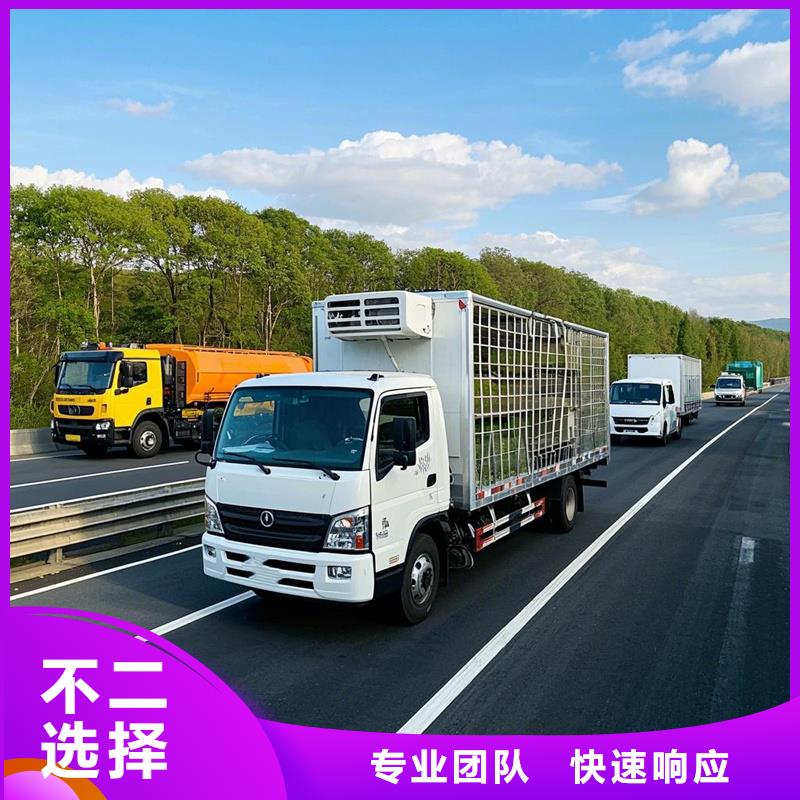 滁州到龙沙物流专线货运公司