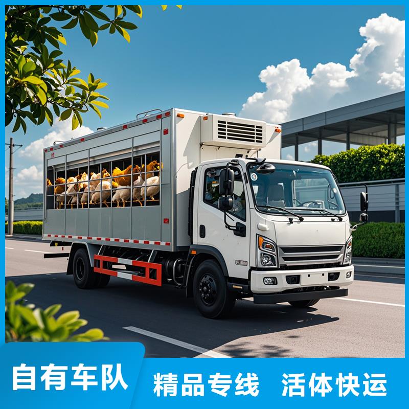 阜南到梁山物流专线货运公司