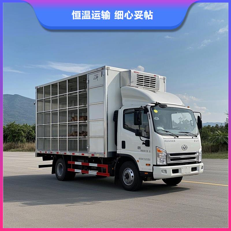 濮阳到贡嘎物流专线货运公司