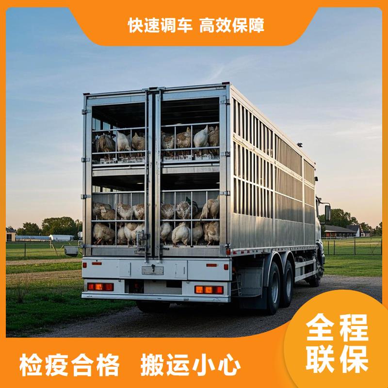 濮阳到闸北物流专线货运公司