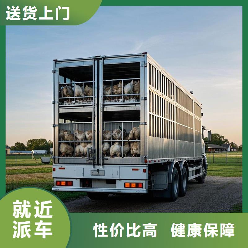 上饶到马鞍山物流专线货运公司