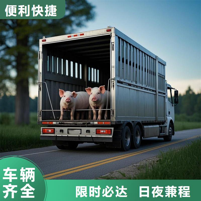 濮阳到射阳物流专线货运公司