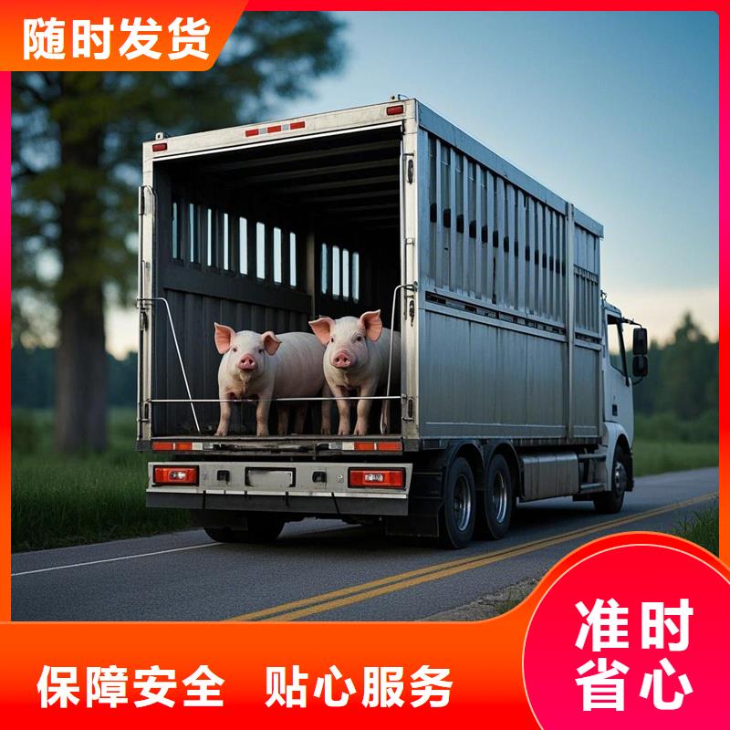 贵港到鄞州物流专线货运公司