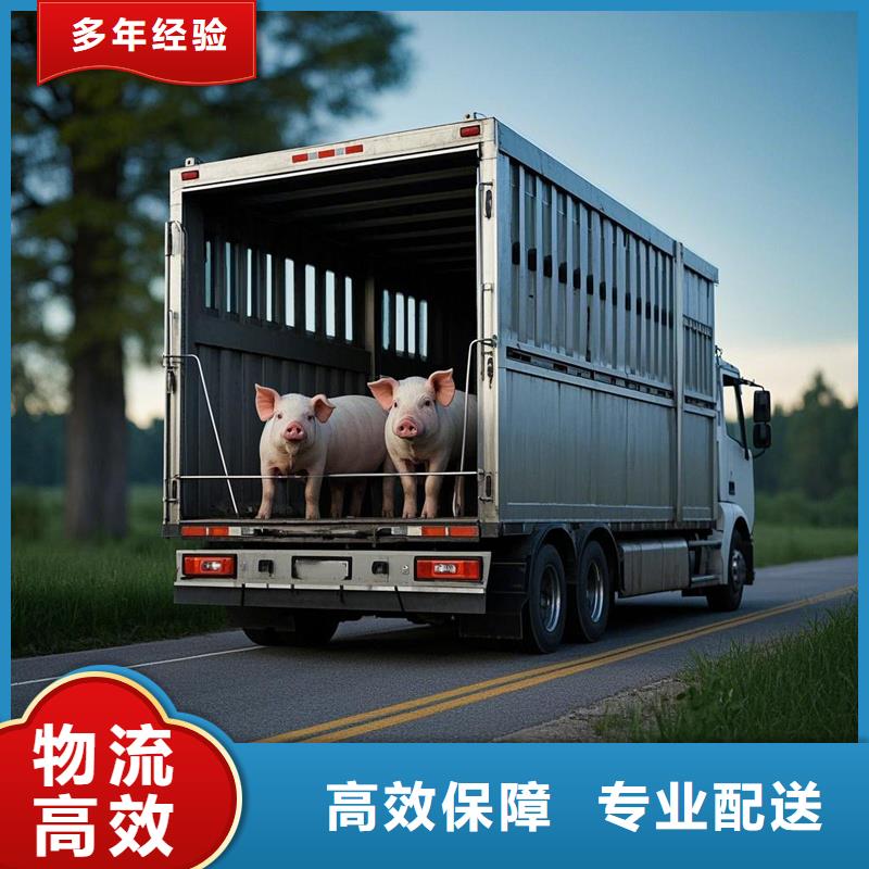 日照到武陵源物流专线货运公司