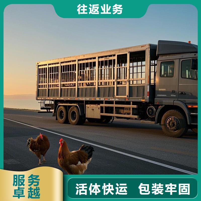 柳州到舒城物流专线货运公司